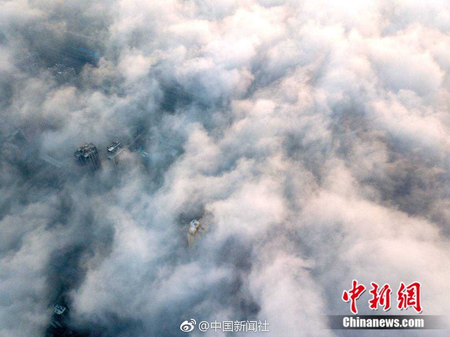 昭通市高端新茶,品茶九游会旗舰的联系方式(青龙满族自治县)