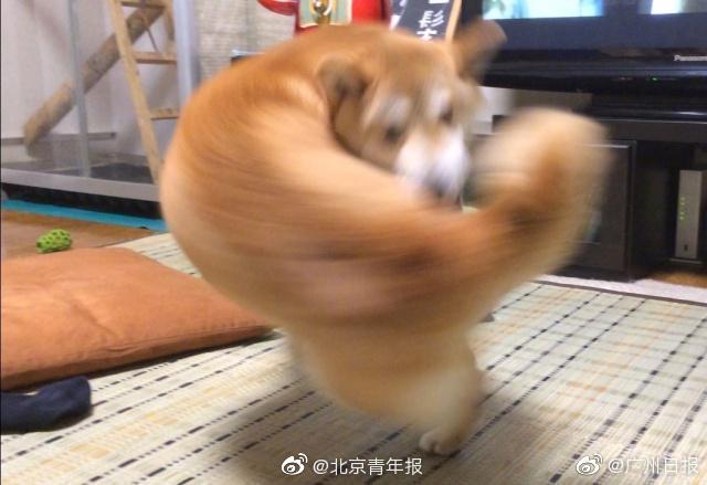 宜宾敬业路哪里有耍的笔记(金阳县),宜宾敬业路的妹子100元2020