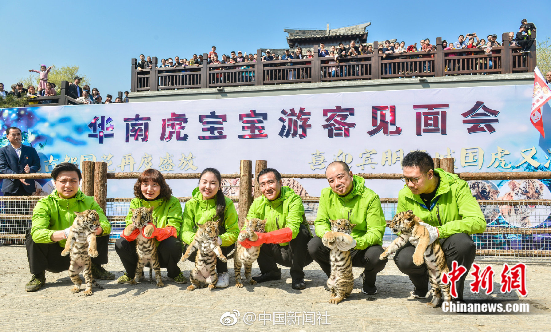浙江聚仙阁九品升级毕业区(株洲县),聚仙阁茶楼