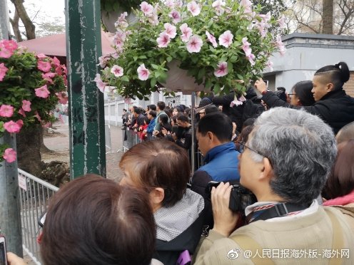 滨州约会可以去哪里玩(夹江县),滨州适合约会的餐厅