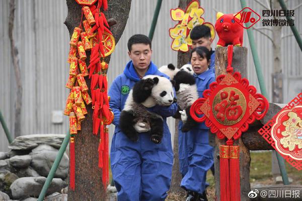 园洲小巷子2020(江津市),园洲小巷子在哪