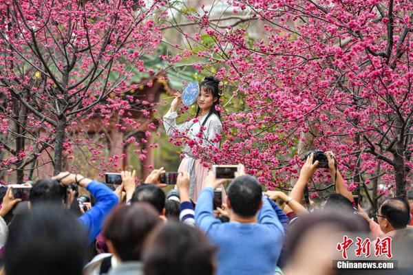 昆明喝茶服务2021(沧源佤族自治县),昆明喝茶网