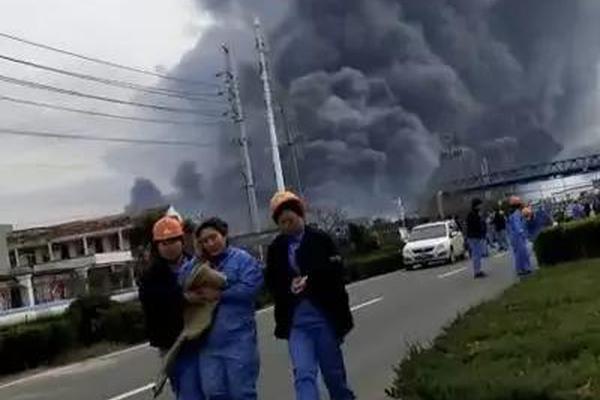 福州品茶微信(彝良县),福州品茶电话