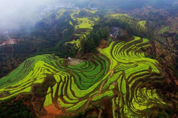 宜宾长宁玩快餐的地方(丰台区),宜宾长宁美食一条街