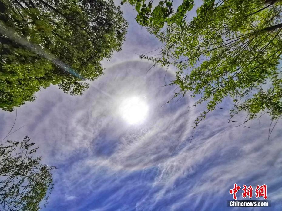 天津qm信息(和静县),和静信息网